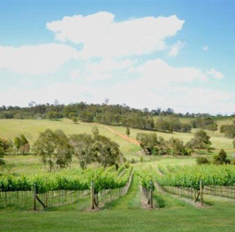 Oceanview Estate Vineyard Cottages Ocean View Bagian luar foto
